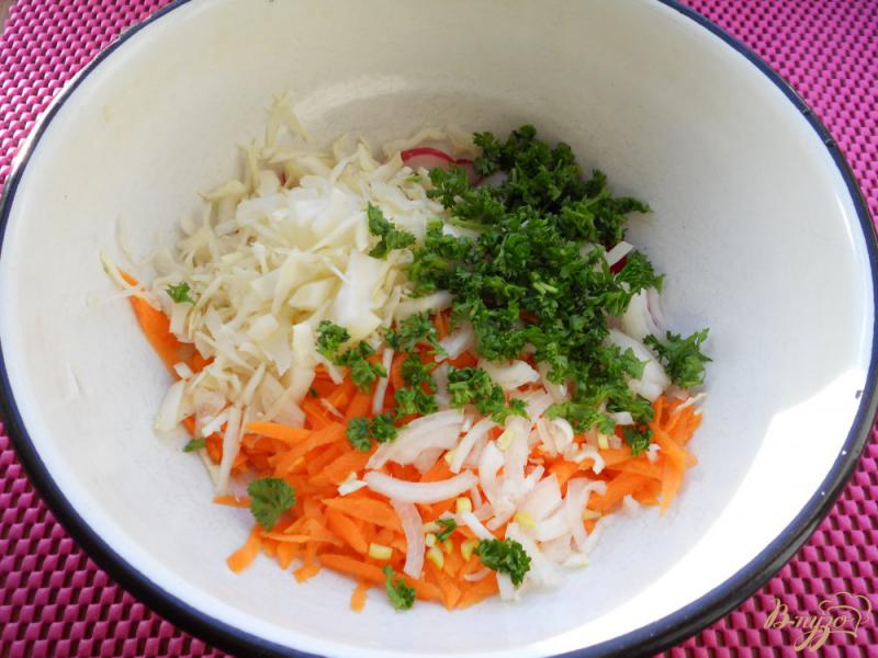 Фото приготовление рецепта: Салат из капусты, моркови и редиса шаг №2