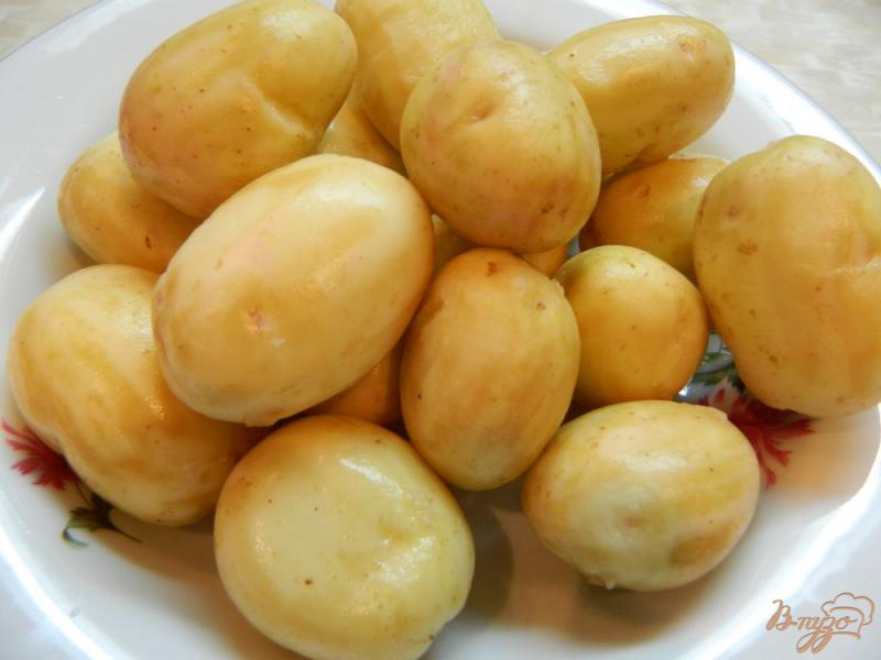 Фото приготовление рецепта: Молодой картофель с чесноком и зеленью шаг №1