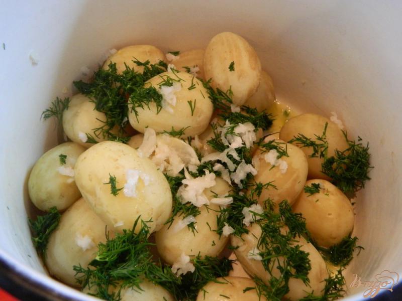 Фото приготовление рецепта: Молодой картофель с чесноком и зеленью шаг №4