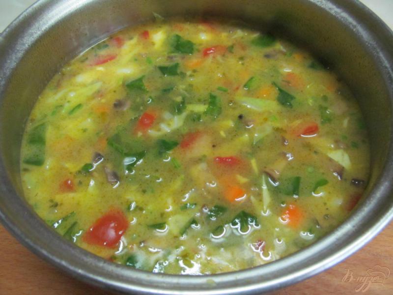Фото приготовление рецепта: Овощной суп на курином бульоне в азиатском стиле шаг №8