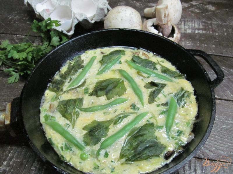 Фото приготовление рецепта: Зеленый омлет с сельдереем шаг №5