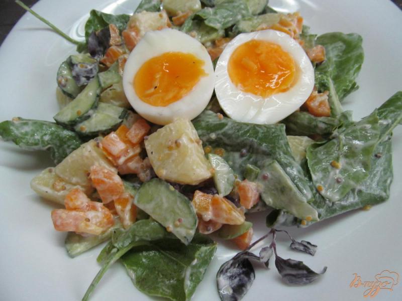 Фото приготовление рецепта: Картофельный салат с огурцом и яйцом шаг №7