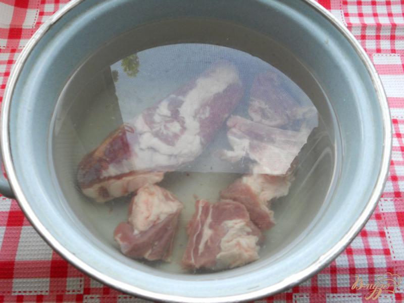 Фото приготовление рецепта: Борщ со свиными ребрышками и молодыми овощами шаг №1