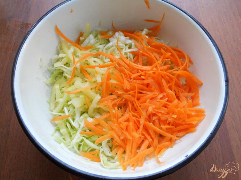 Фото приготовление рецепта: Салат из капусты и овощей «Закусочный» шаг №2