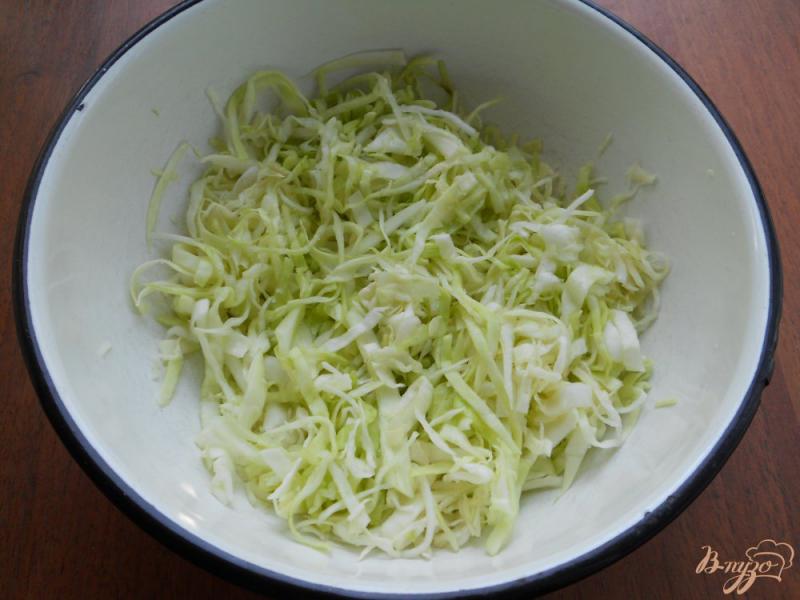 Фото приготовление рецепта: Салат из капусты и овощей «Закусочный» шаг №1
