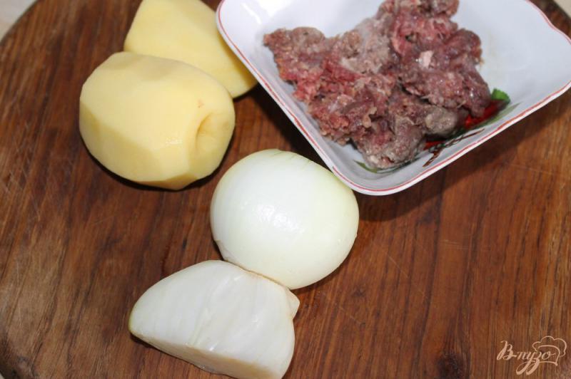 Фото приготовление рецепта: Луковые котлетки с фаршем и картофелем в томатном соусе шаг №1