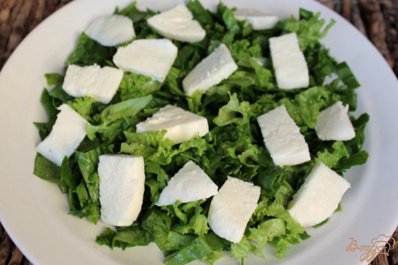 Фото приготовление рецепта: Салат с оливками и сыром моцарелла шаг №2