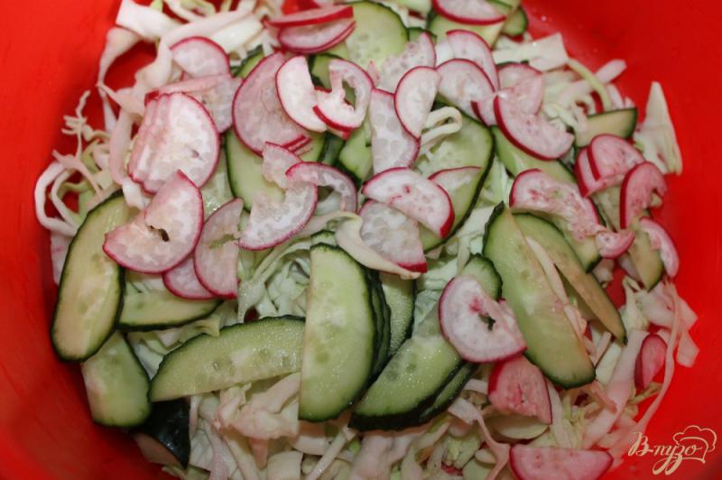Фото приготовление рецепта: Салат из белокочанной капусты с редисом, помидором и яйцом шаг №3