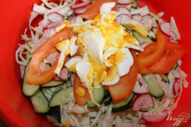 Фото приготовление рецепта: Салат из белокочанной капусты с редисом, помидором и яйцом шаг №4