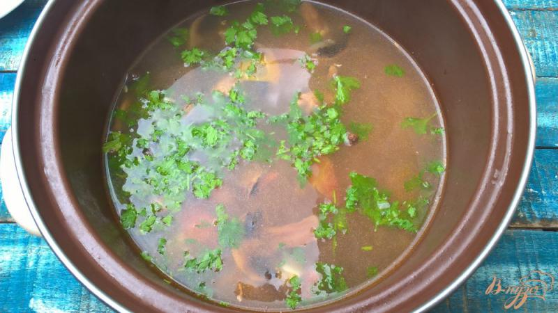 Фото приготовление рецепта: Грибной суп с овощами шаг №4