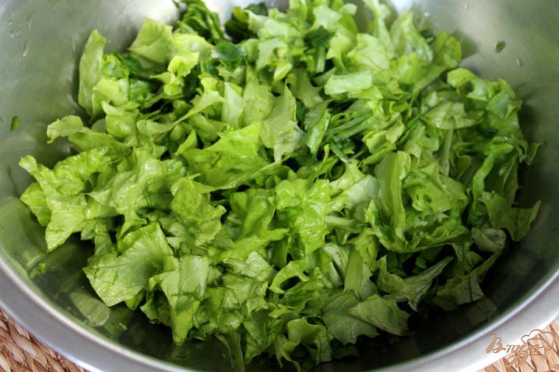 Фото приготовление рецепта: Зеленый салат с мясом и моцареллой шаг №2