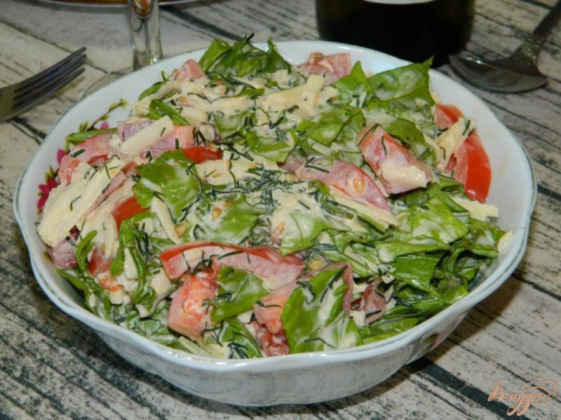 Фото приготовление рецепта: Салат с помидорами, яблоком и зеленью шаг №4