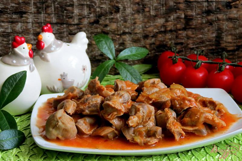Фото приготовление рецепта: Куриные желудки в томатном соусе с огурцами шаг №9