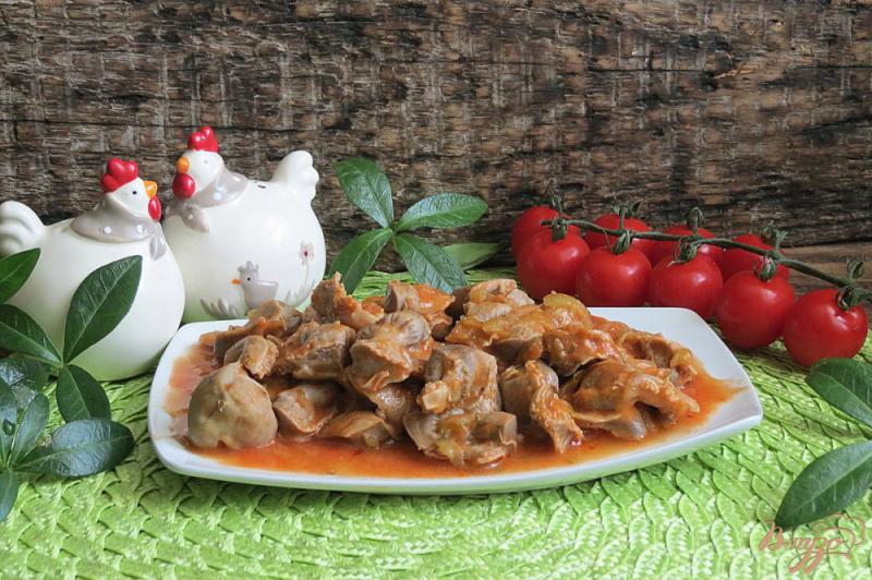 Фото приготовление рецепта: Куриные желудки в томатном соусе с огурцами шаг №10