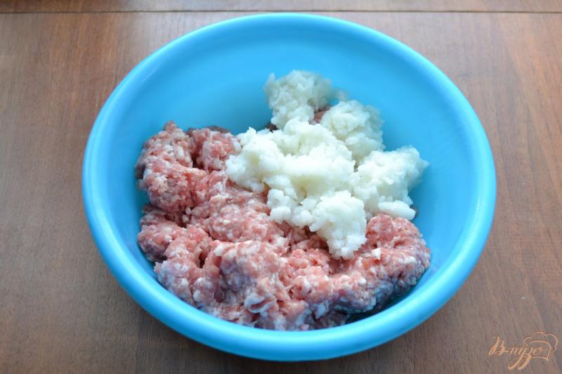 Фото приготовление рецепта: Свиные котлеты с капустой и рисом шаг №1