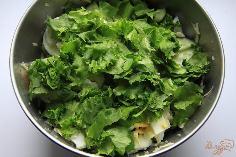 Фото приготовление рецепта: Салат из молодой капусты с огурцами и яйцами шаг №5