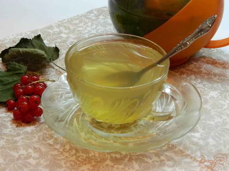 Фото приготовление рецепта: Чай из листьев смородины и мяты шаг №5
