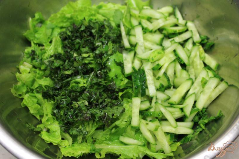 Фото приготовление рецепта: Салат из зелени ассорти с чесноком и огурцом шаг №3