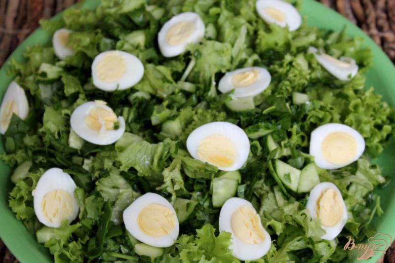 Фото приготовление рецепта: Зеленый салат с перепелиными яйцами и йогуртом шаг №4