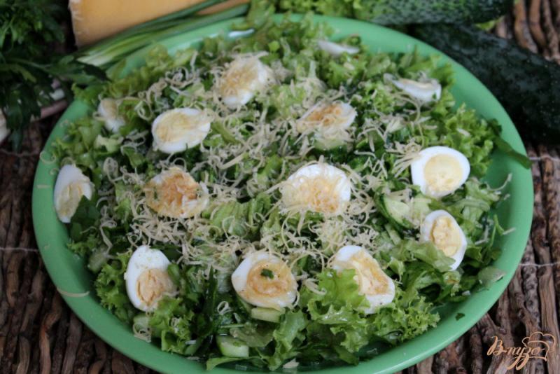 Фото приготовление рецепта: Зеленый салат с перепелиными яйцами и йогуртом шаг №6