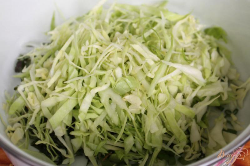 Фото приготовление рецепта: Салат из молодой капусты с мясом и сыром сулугуни шаг №2