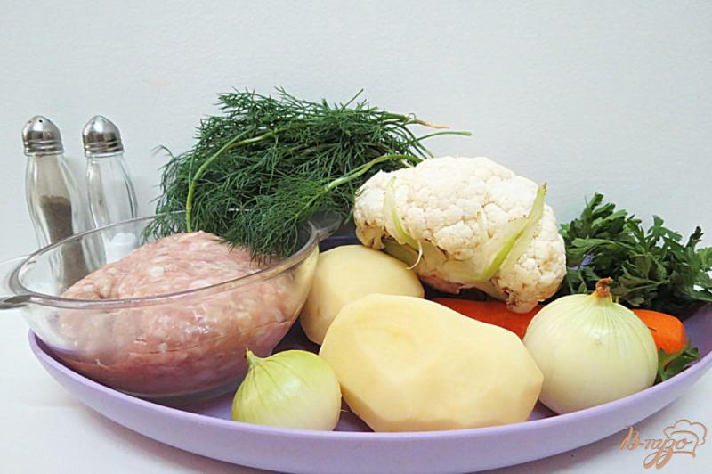 Фото приготовление рецепта: Суп из фрикаделек и цветной капусты шаг №1