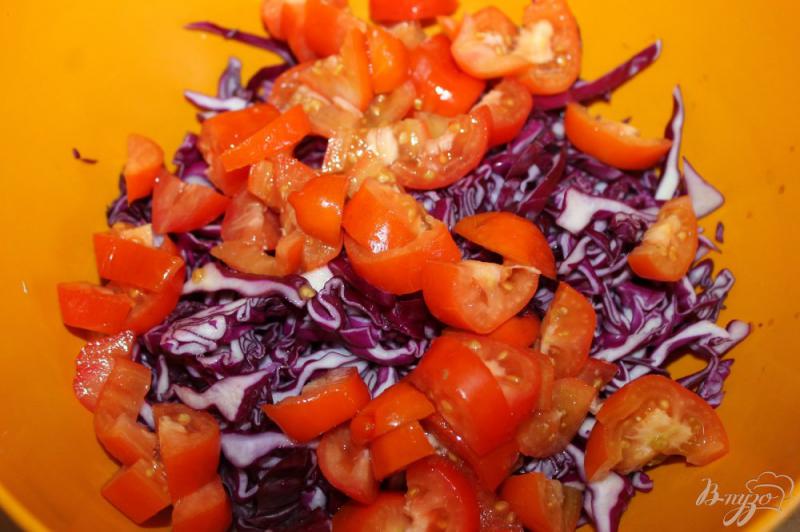 Фото приготовление рецепта: Салат из краснокочанной капусты с плавленым сыром и свиной грудинкой шаг №2