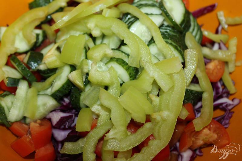 Фото приготовление рецепта: Салат из краснокочанной капусты с плавленым сыром и свиной грудинкой шаг №4