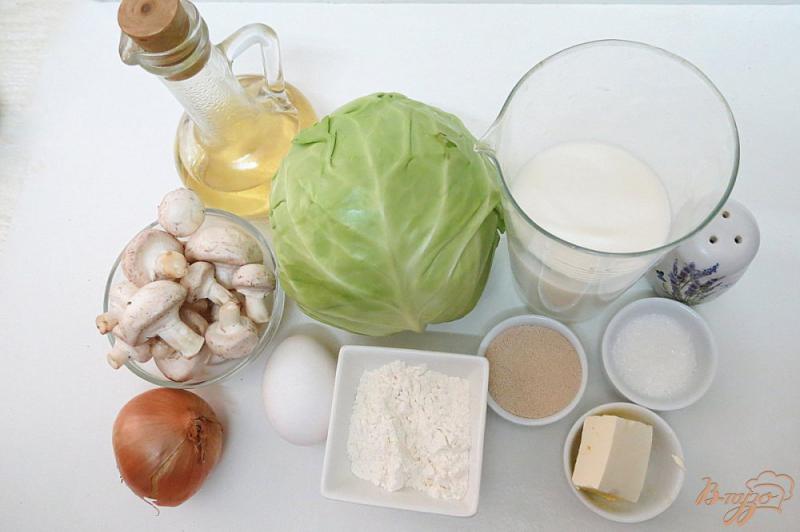 Фото приготовление рецепта: Пирожки духовые с капустой и грибами шаг №1