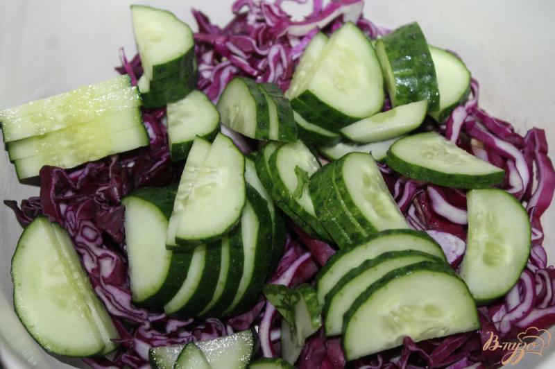 Фото приготовление рецепта: Салат с краснокочанной капустой, помидорами и колбасой шаг №2