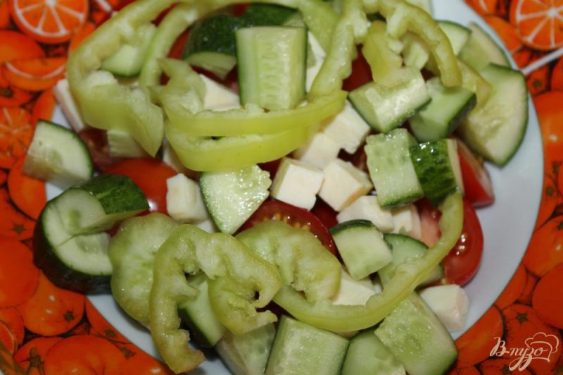 Фото приготовление рецепта: Дачный салат с брынзой шаг №4