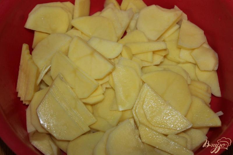 Фото приготовление рецепта: Жареный картофель с красным сладким перцем и зеленым луком шаг №2