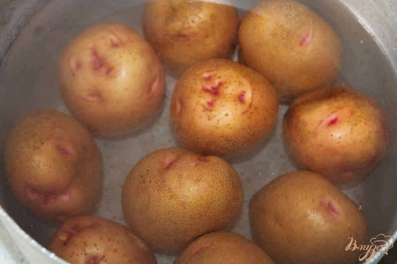 Фото приготовление рецепта: Давленный картофель по - деревенски с салом и луком шаг №2