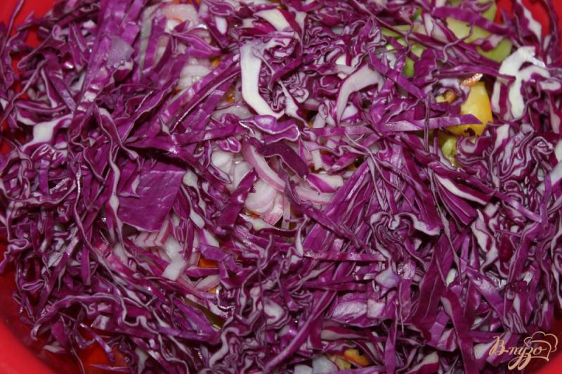 Фото приготовление рецепта: Салат с жаренными баклажанами, краснокочанной капустой и яйцом шаг №6