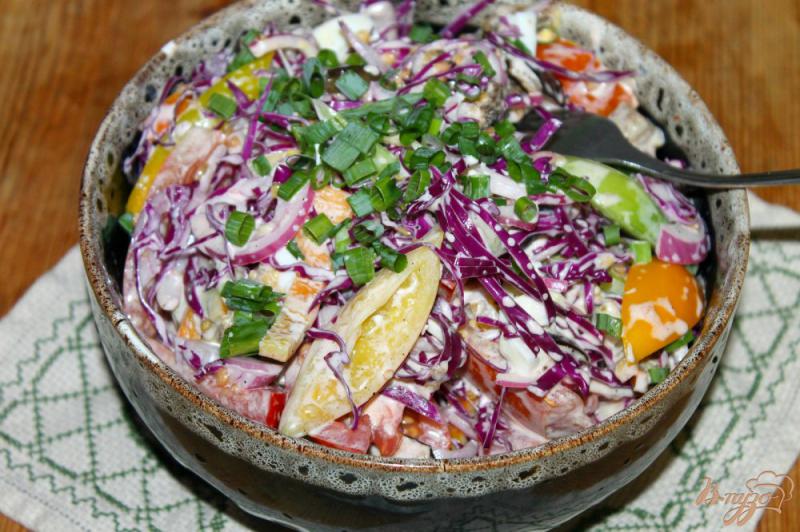 Фото приготовление рецепта: Салат с жаренными баклажанами, краснокочанной капустой и яйцом шаг №9