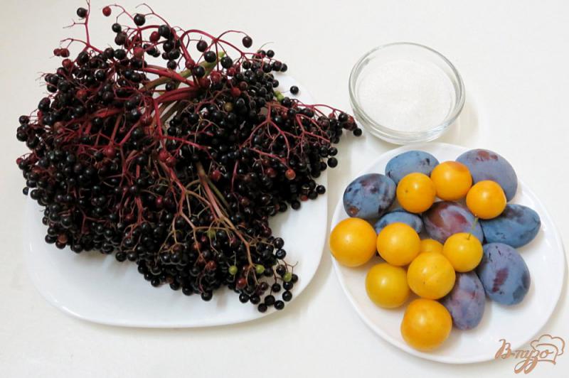 Фото приготовление рецепта: Компот из ягод бузины, слив и алычи шаг №1