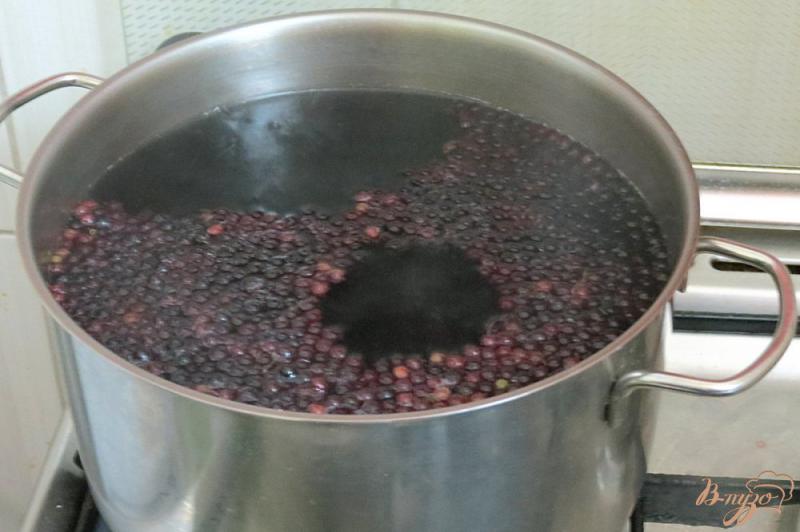 Фото приготовление рецепта: Компот из винограда, бузины и сливы шаг №3