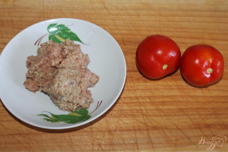 Фото приготовление рецепта: Закуска из баклажан с мясом и помидорами шаг №3