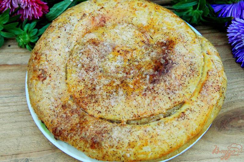 Фото приготовление рецепта: Пирог улитка с яблоками шаг №10