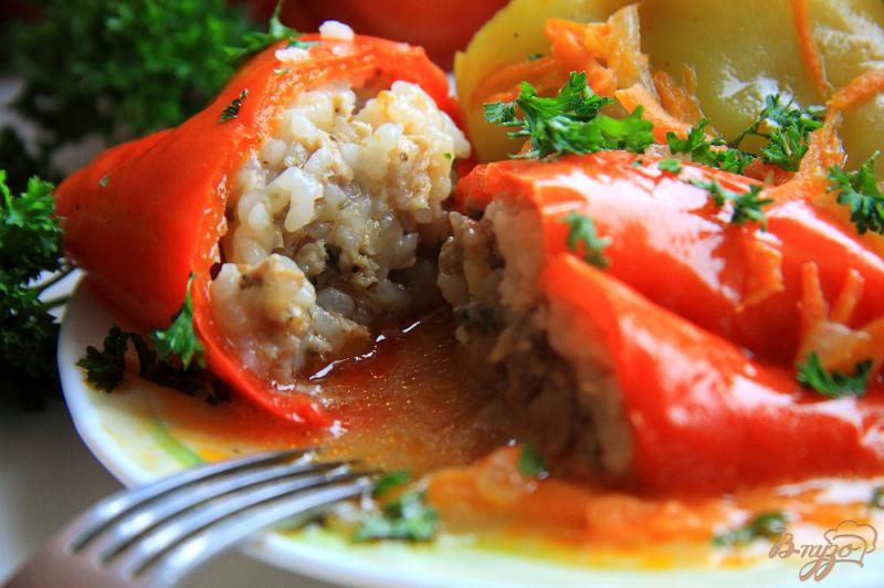 Фото приготовление рецепта: Фаршированный перец в мультиварке в томатно-сметанном соусе шаг №9