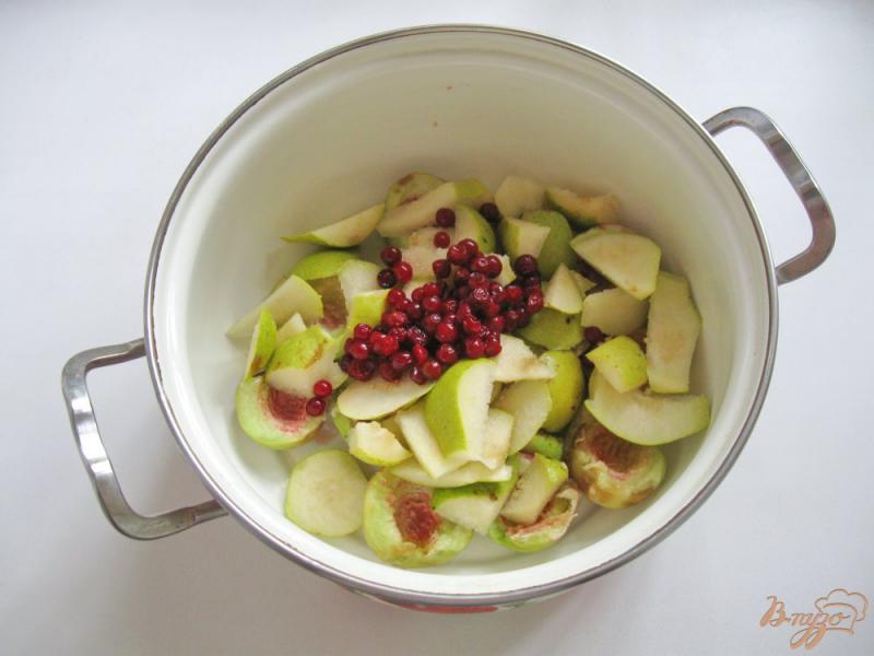 Фото приготовление рецепта: Компот из персиков, груш и брусники шаг №4