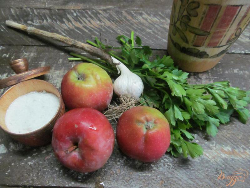 Фото приготовление рецепта: Яблочный соус шаг №1