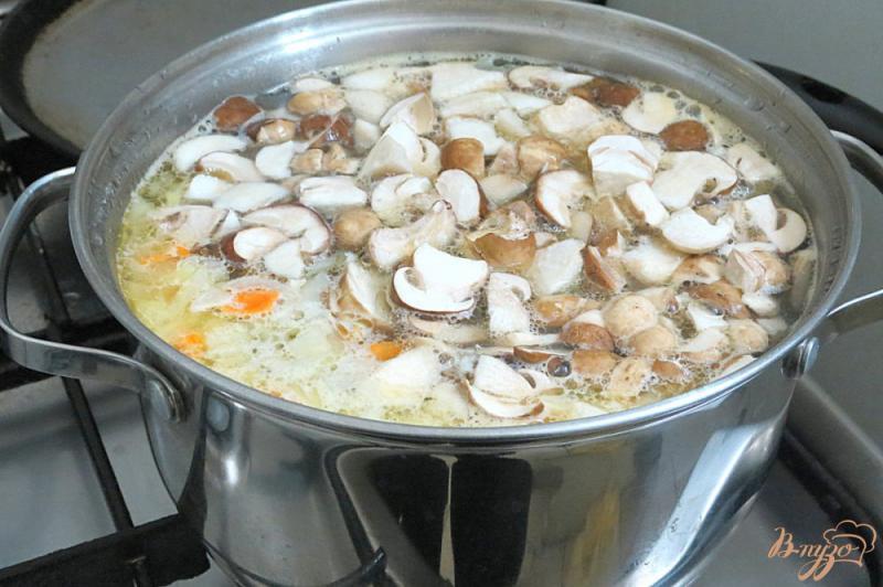 Фото приготовление рецепта: Суп из белых грибов шаг №9