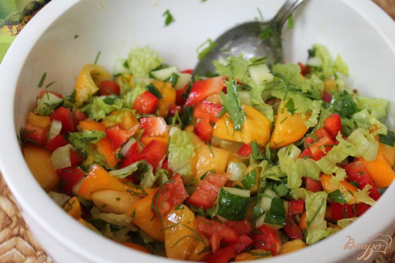 Фото приготовление рецепта: Салат из помидоров с огурцом и перцем шаг №5