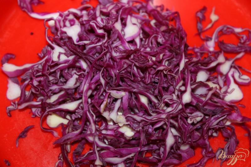 Фото приготовление рецепта: Салат из краснокочанной капусты с ветчиной и яблоком шаг №1