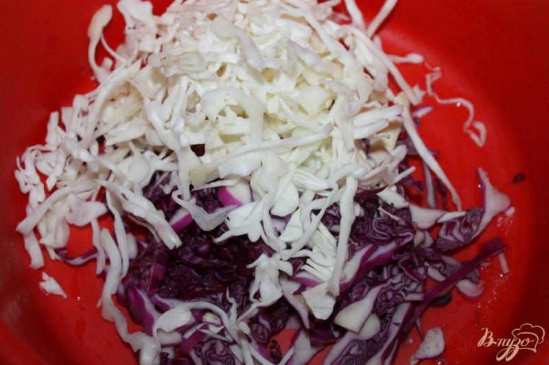 Фото приготовление рецепта: Капустный салат с курагой шаг №1