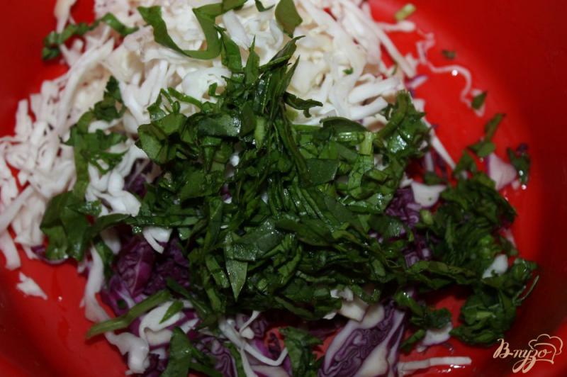 Фото приготовление рецепта: Капустный салат с курагой шаг №2