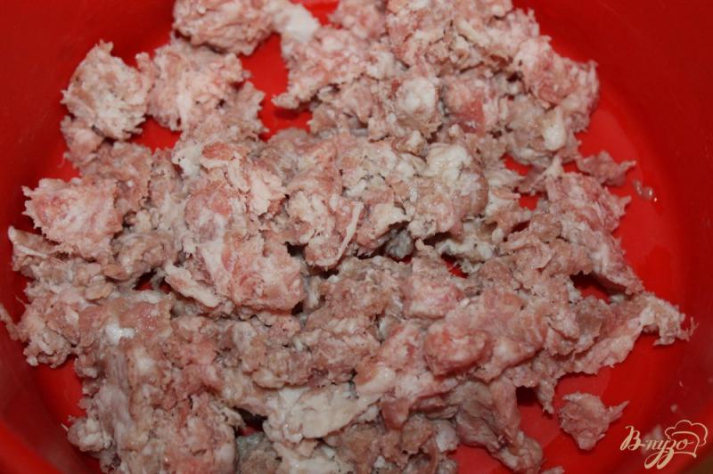 Фото приготовление рецепта: Котлеты из свинины с кабачком и зеленым луком шаг №1