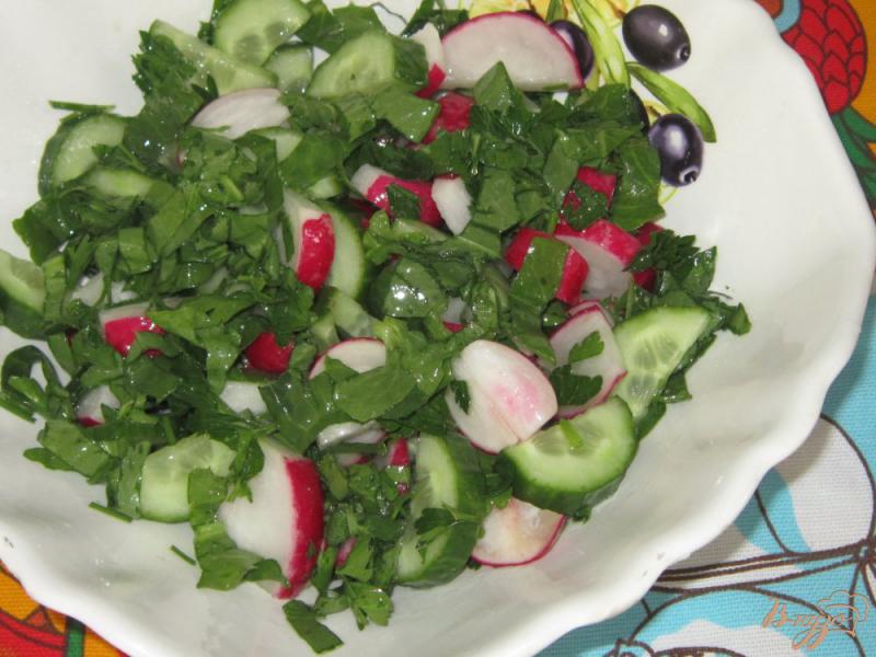 Фото приготовление рецепта: Салат из щавеля с огурцом и редисом шаг №5