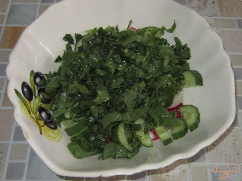 Фото приготовление рецепта: Салат из щавеля с огурцом и редисом шаг №4